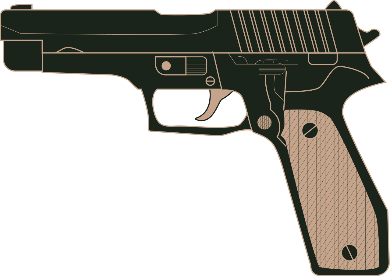 sell your sig p226