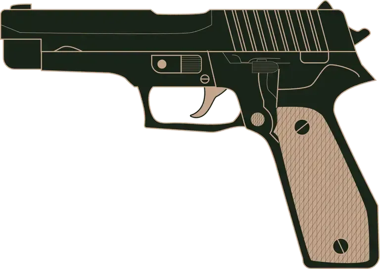 sell your sig p226