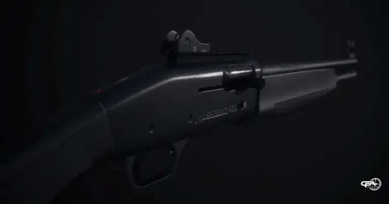 Picture of a Mossberg 930