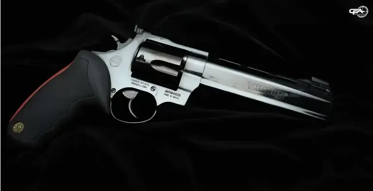 Picture of the Taurus Raging Bull