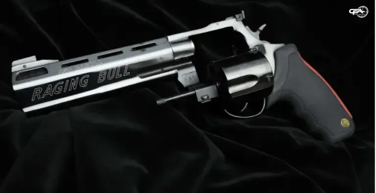 Close up picture of the Taurus Raging Bull