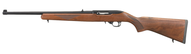 sell your Ruger 10 22