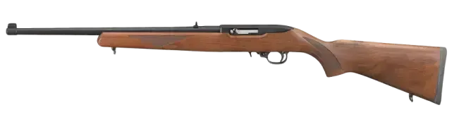 sell your Ruger 10 22