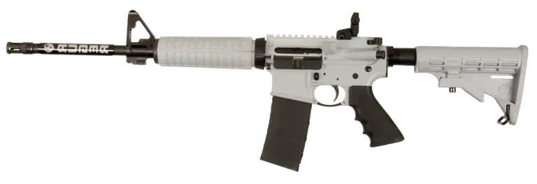Picture of a Ruger AR-556