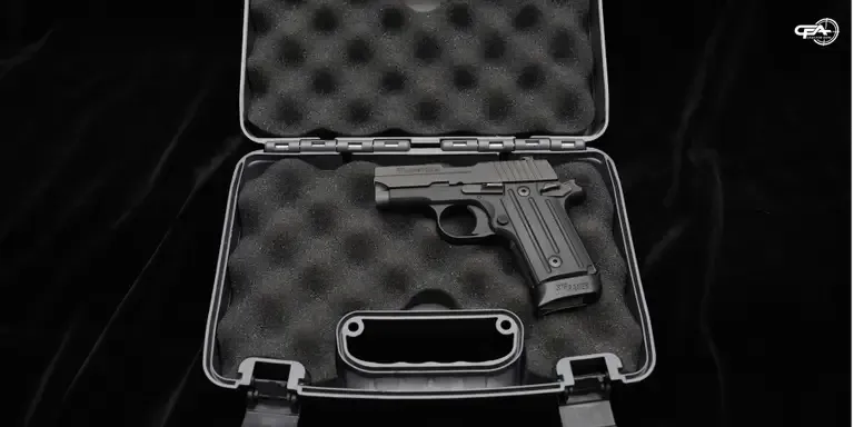 Picture of a Sig Sauer P238 in a case