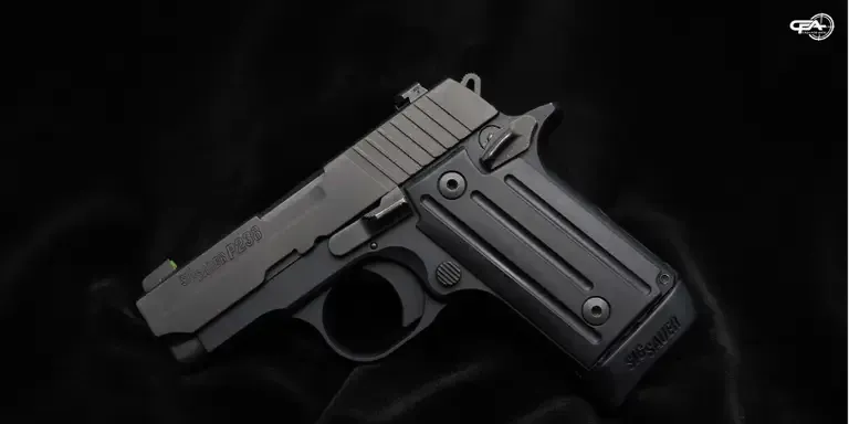 Picture of a Sig Sauer P238
