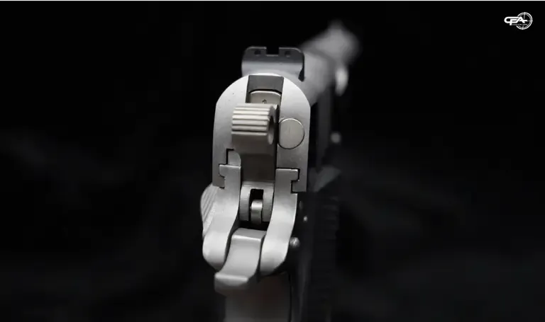 Close up picture of a back of Colt Delta Elite