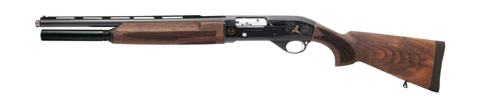 Picture of a Remington 1100
