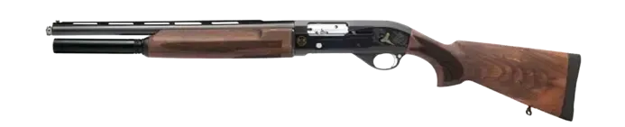 Picture of a Remington 1100