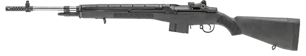 sell your Springfield M1A