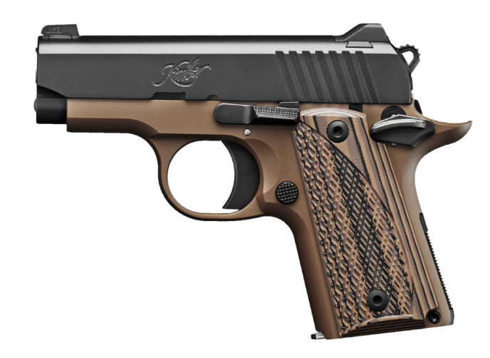 Picture of a Kimber Micro Carry 380