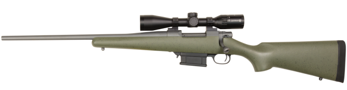 Picture of a Ruger American