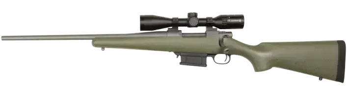 Picture of a Ruger American