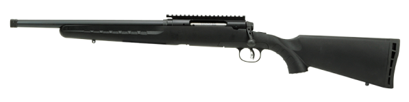 Picture of a Savage Arms AXIS