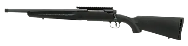Picture of a Savage Arms AXIS
