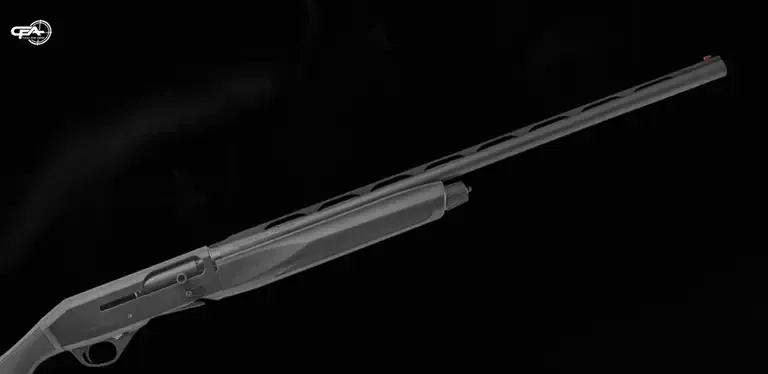 Picture of a Stoeger M3000