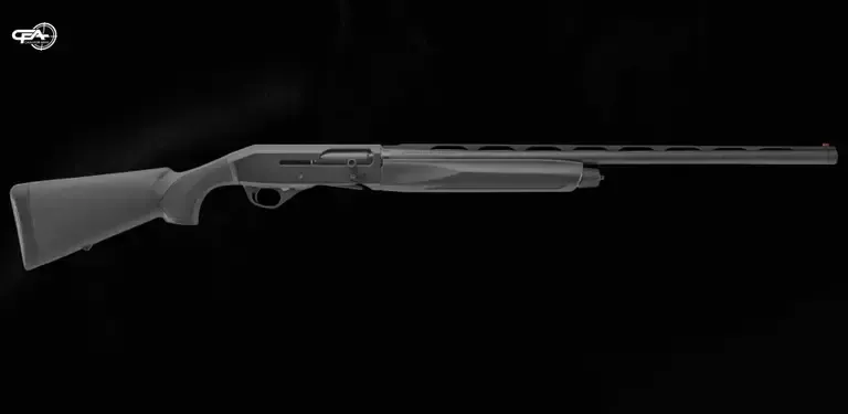 Picture of a Stoeger M3000