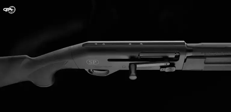 Picture of a Stoeger M3000