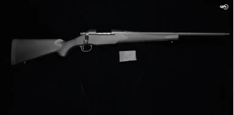 Picture of a Mossberg Patriot with one magazine
