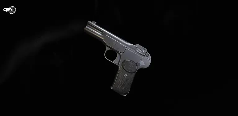 Picture of a FN M1900