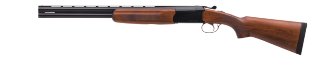Picture of a Stoeger Condor