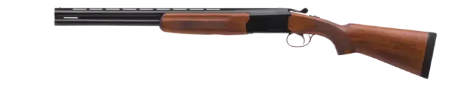 Picture of a Stoeger Condor