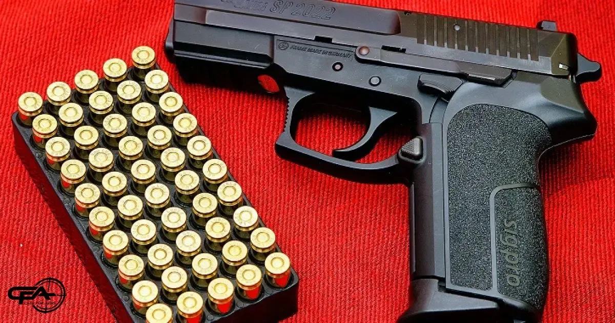 Picture of a gun and ammo, on a red carpet