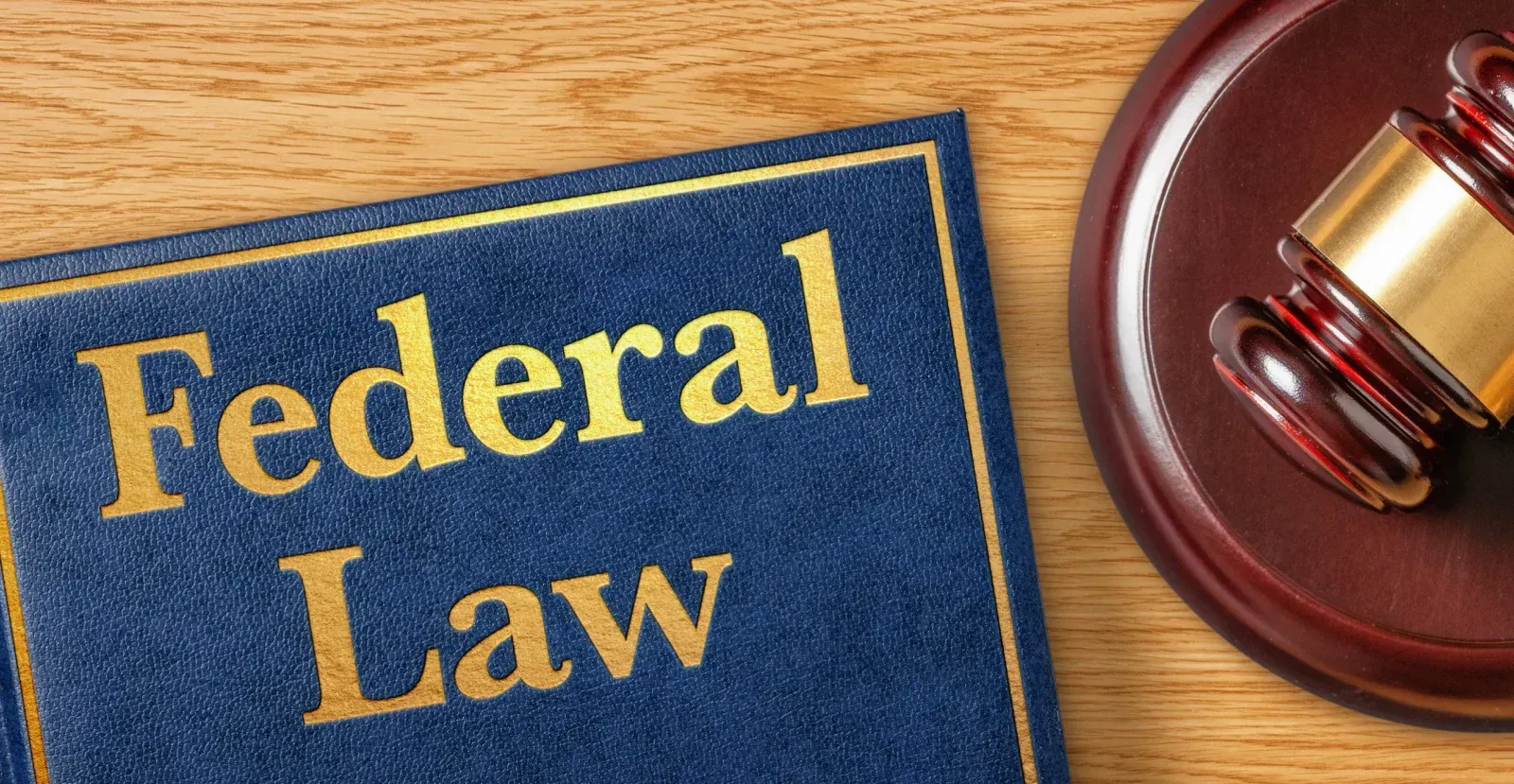 Federal Law and gavel