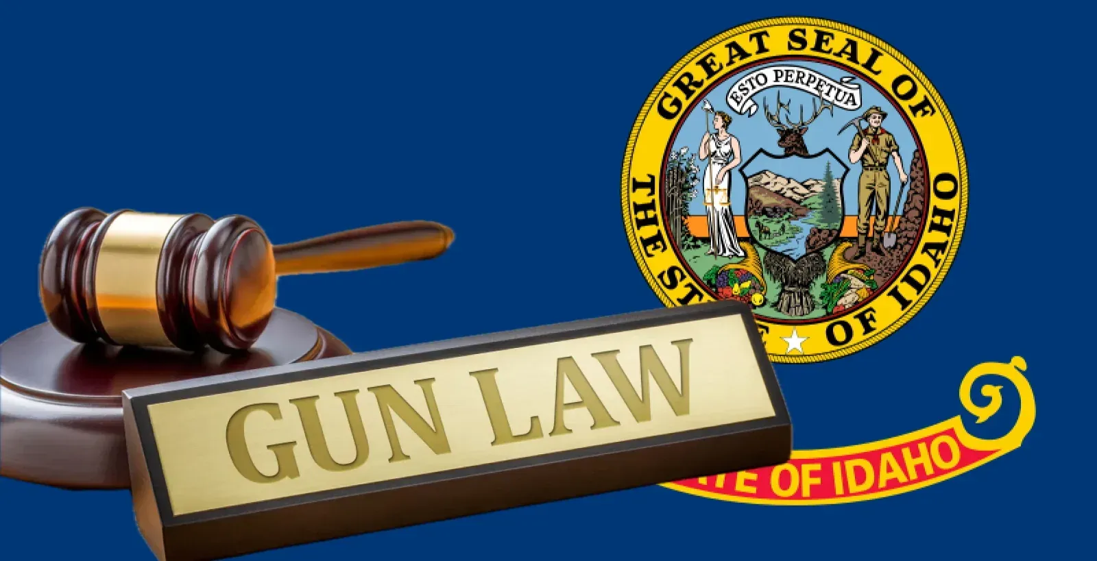 Idaho flag with gavel and gun law plaque