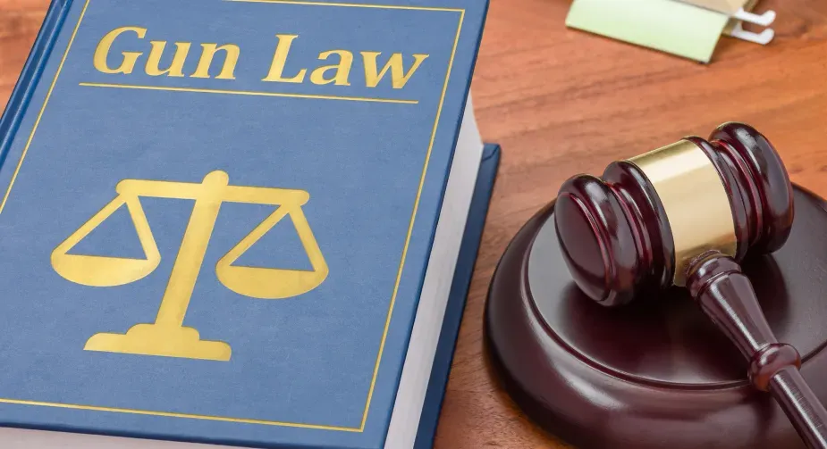 Book of gun laws and gavel