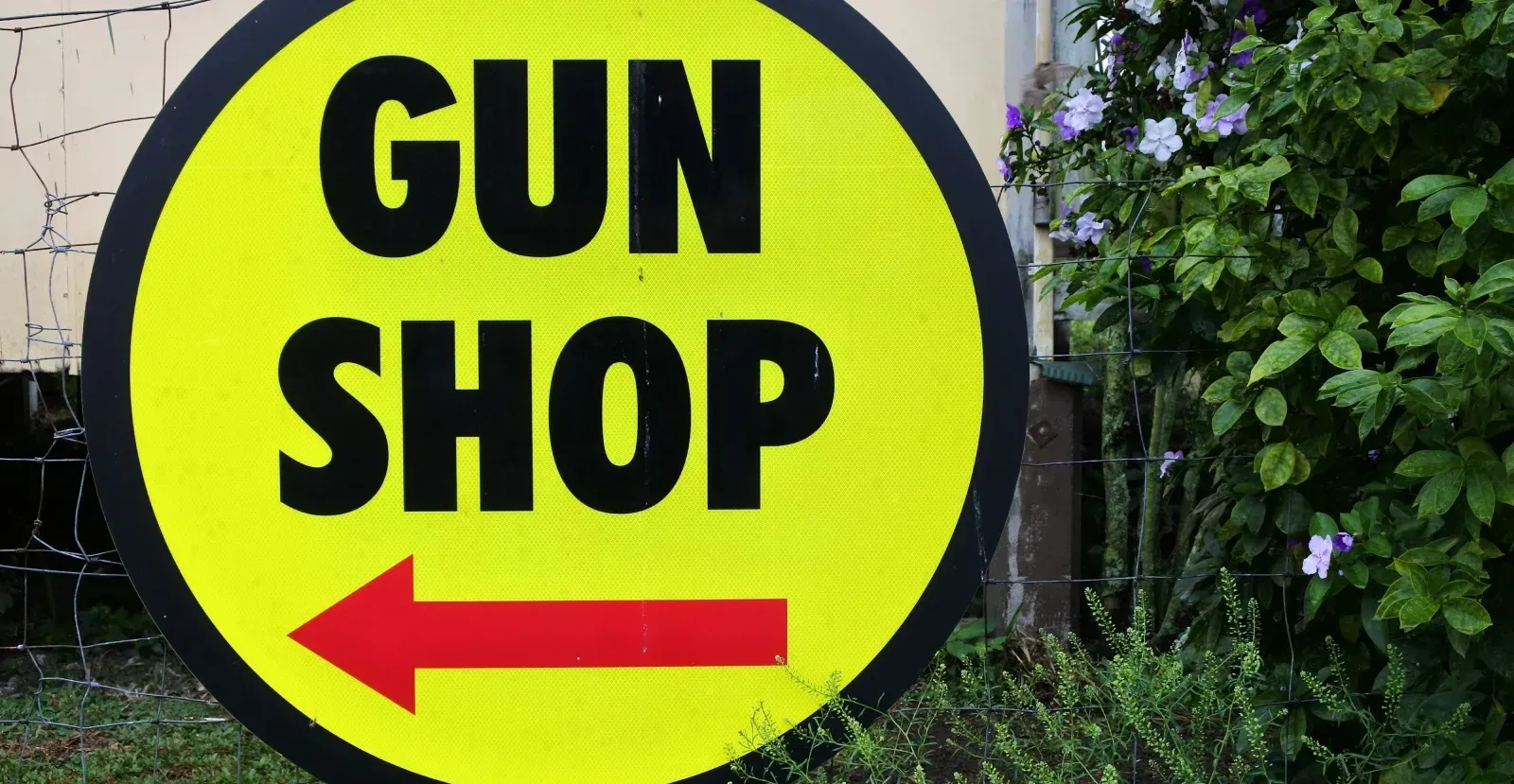 Sign that says gun shop with an arrow pointing