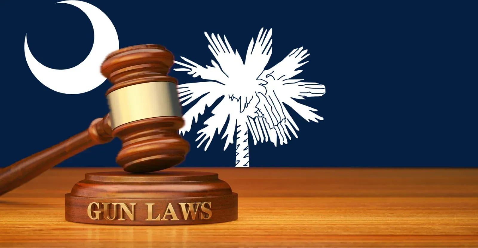 South Carolina Flag with gavel and gun laws