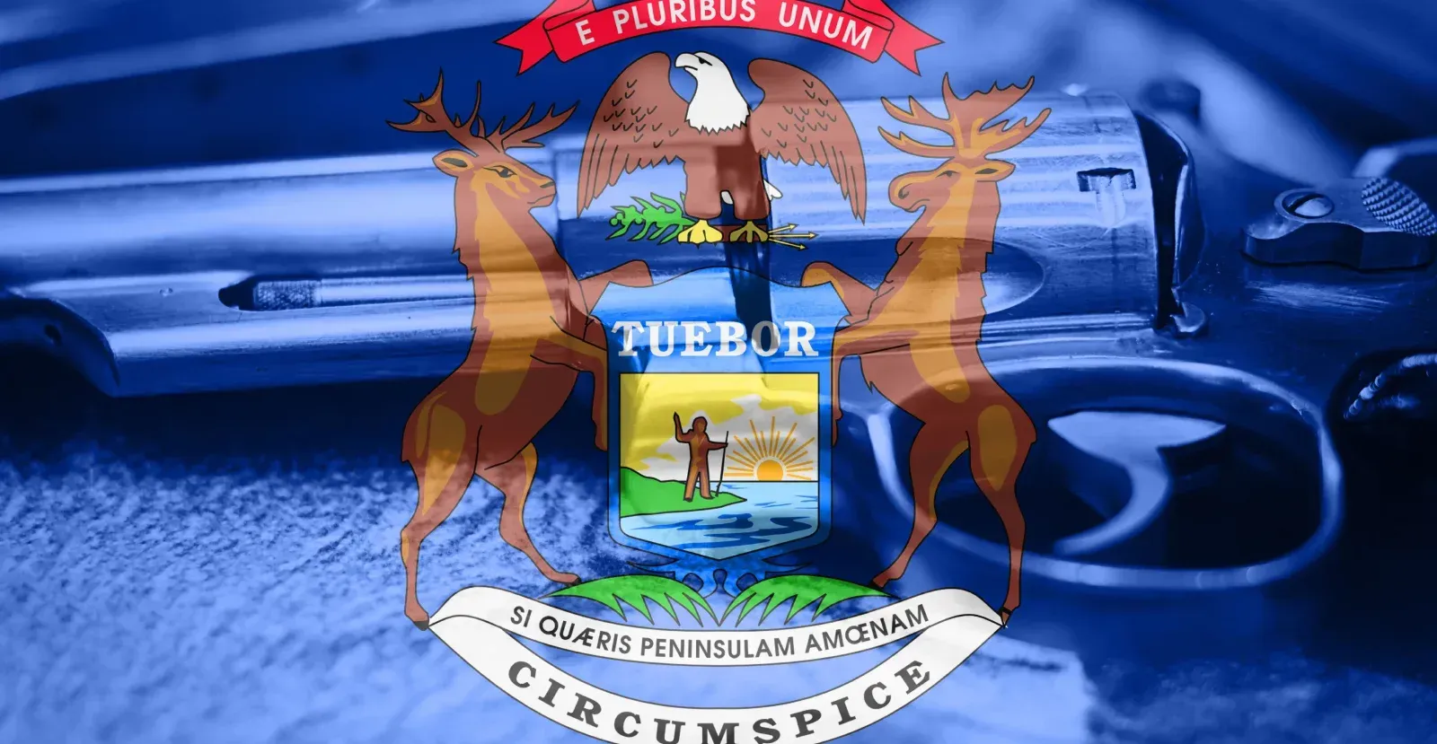 Michigan State flag with gun
