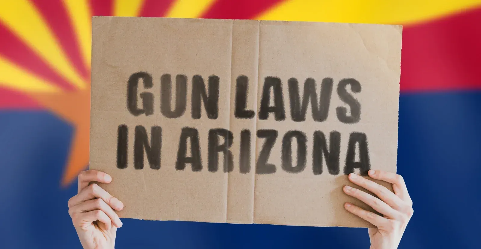 Person holding sign that says Gun Laws in Arizona