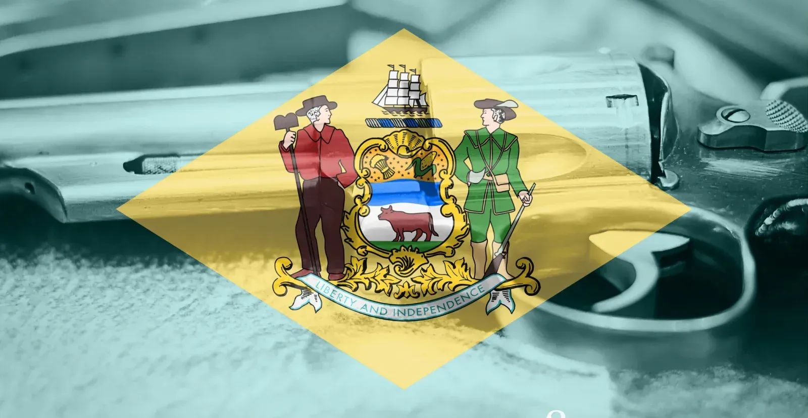 Delaware state flag with gun