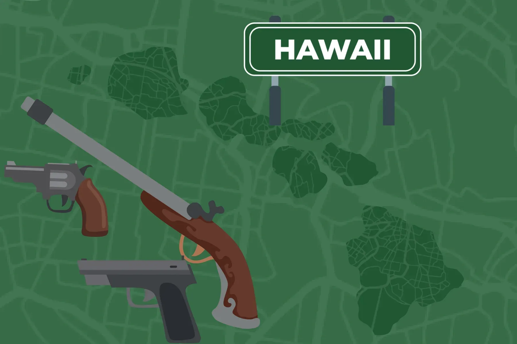 how to sell a gun in Hawaii
