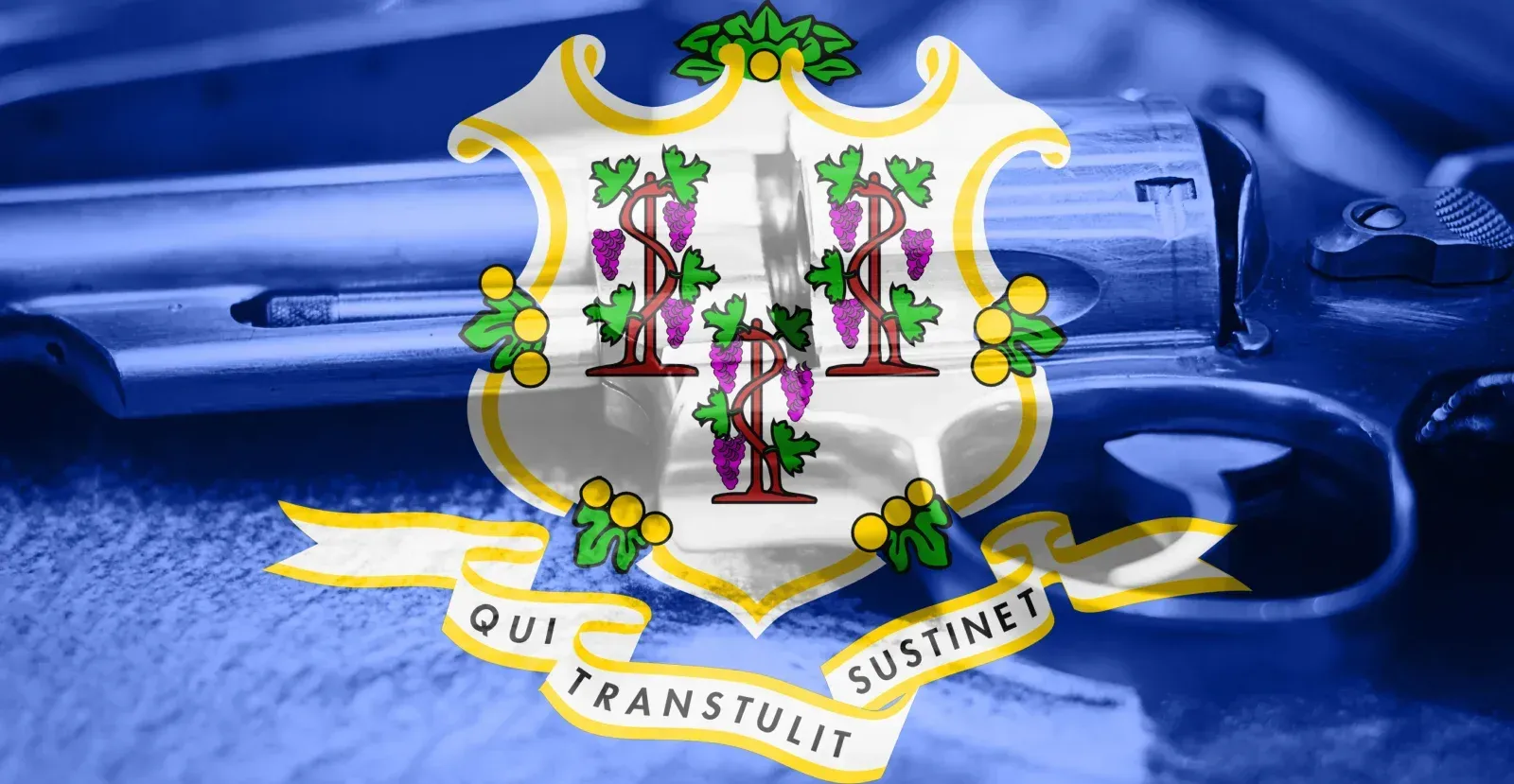 Connecticut state flag with gun