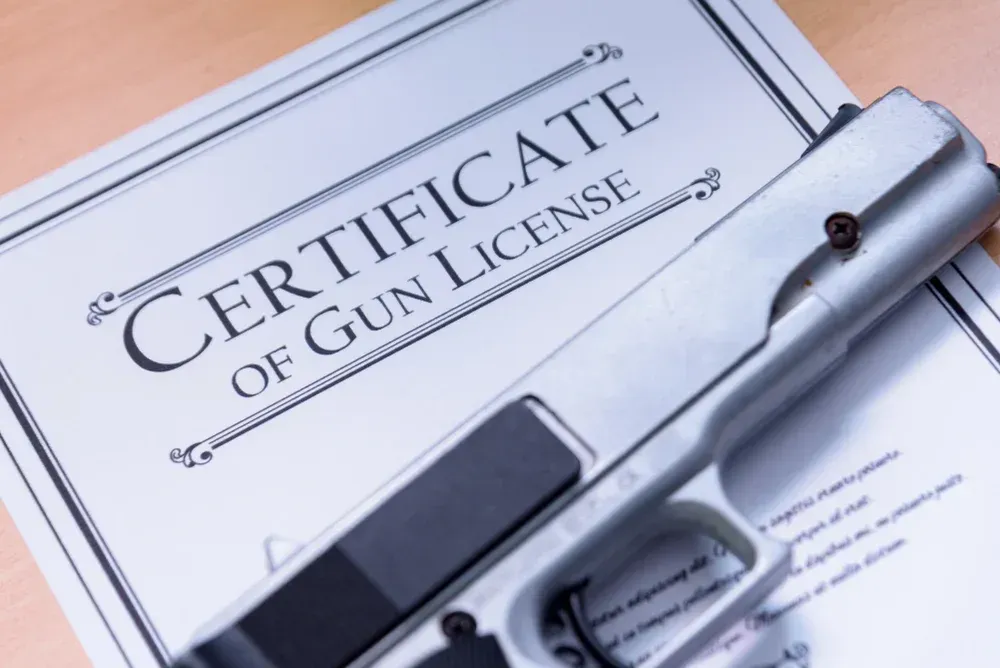 A handgun and gun license