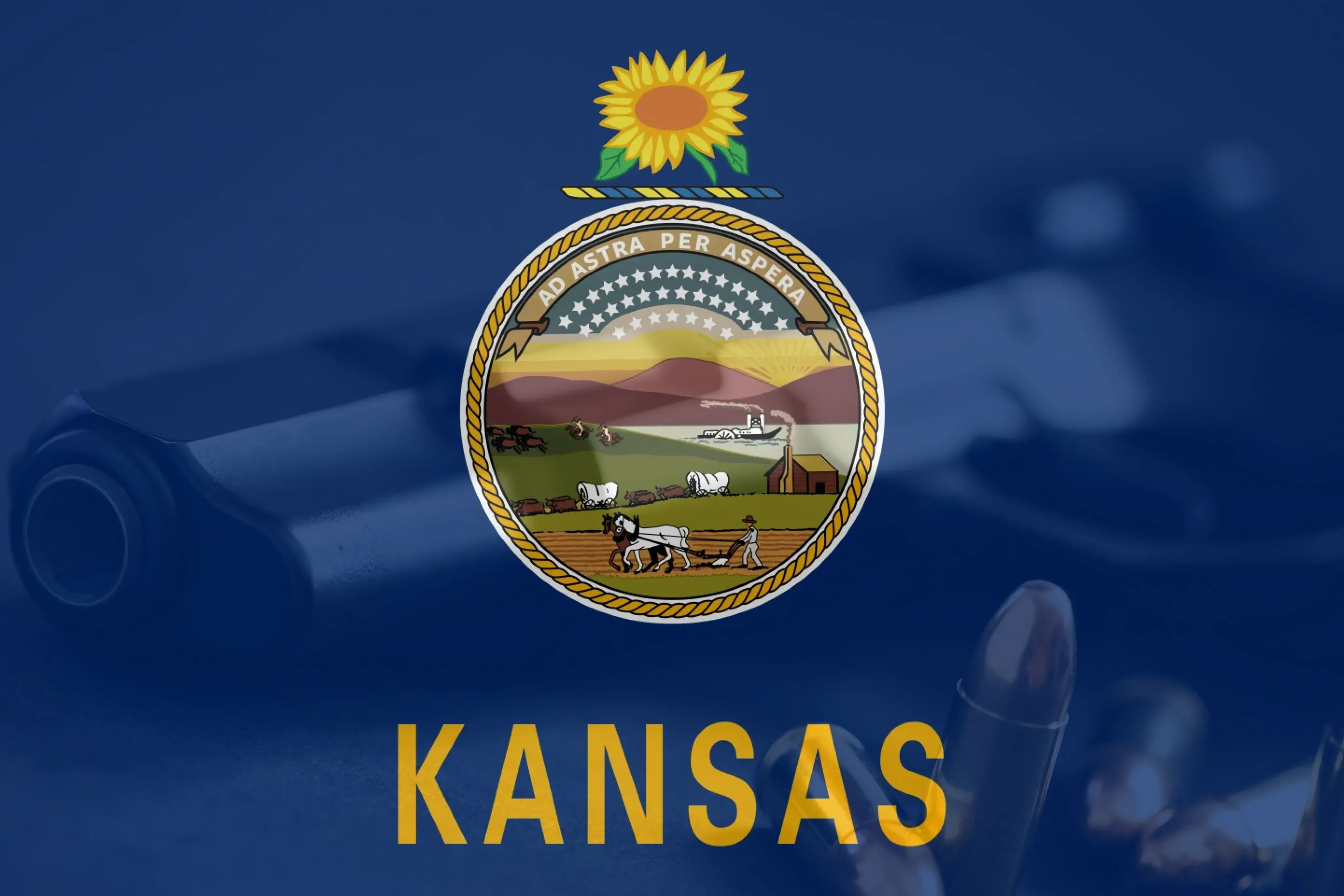 Kansas flag on top of a revolver