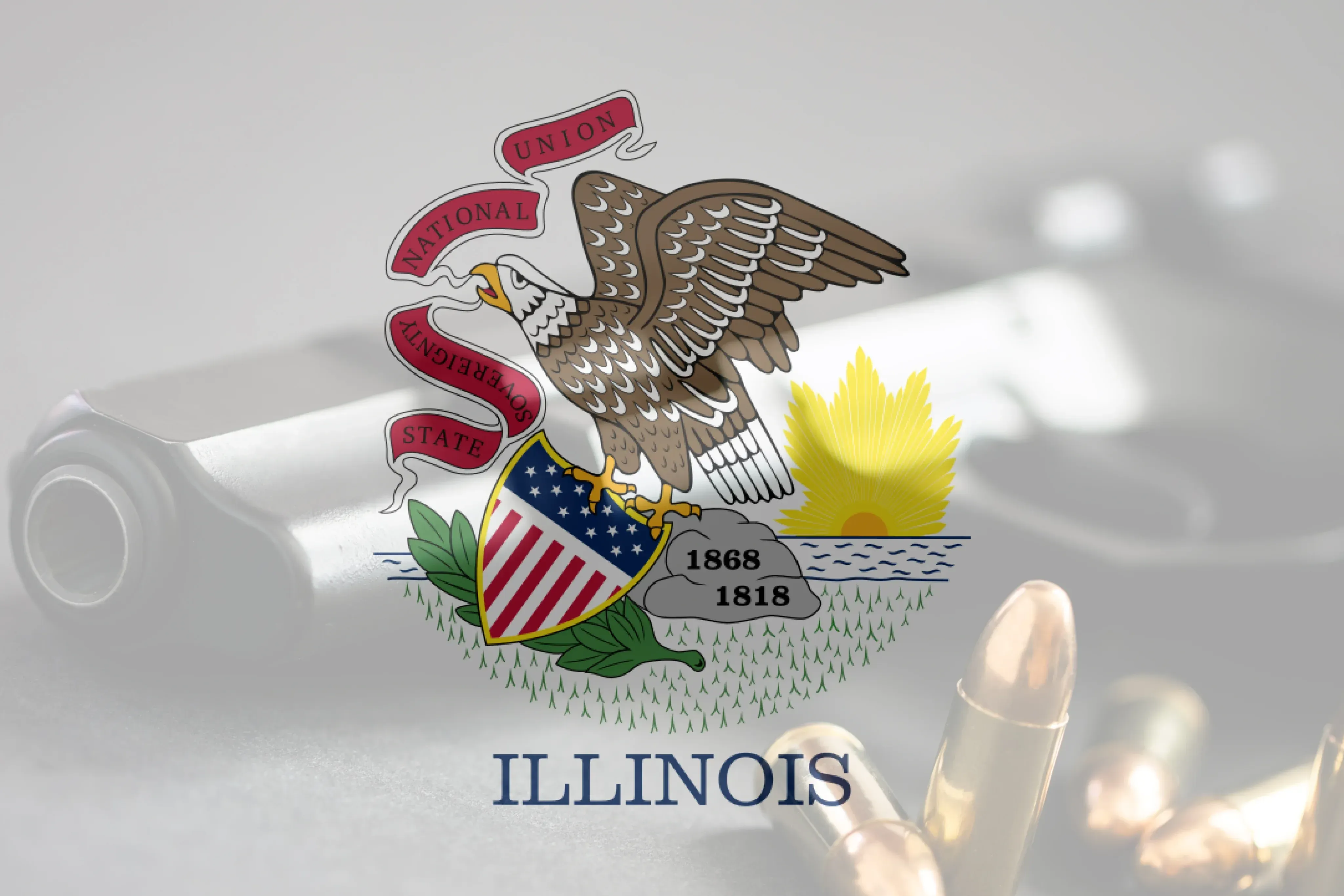 Illinois flag on top of a handgun