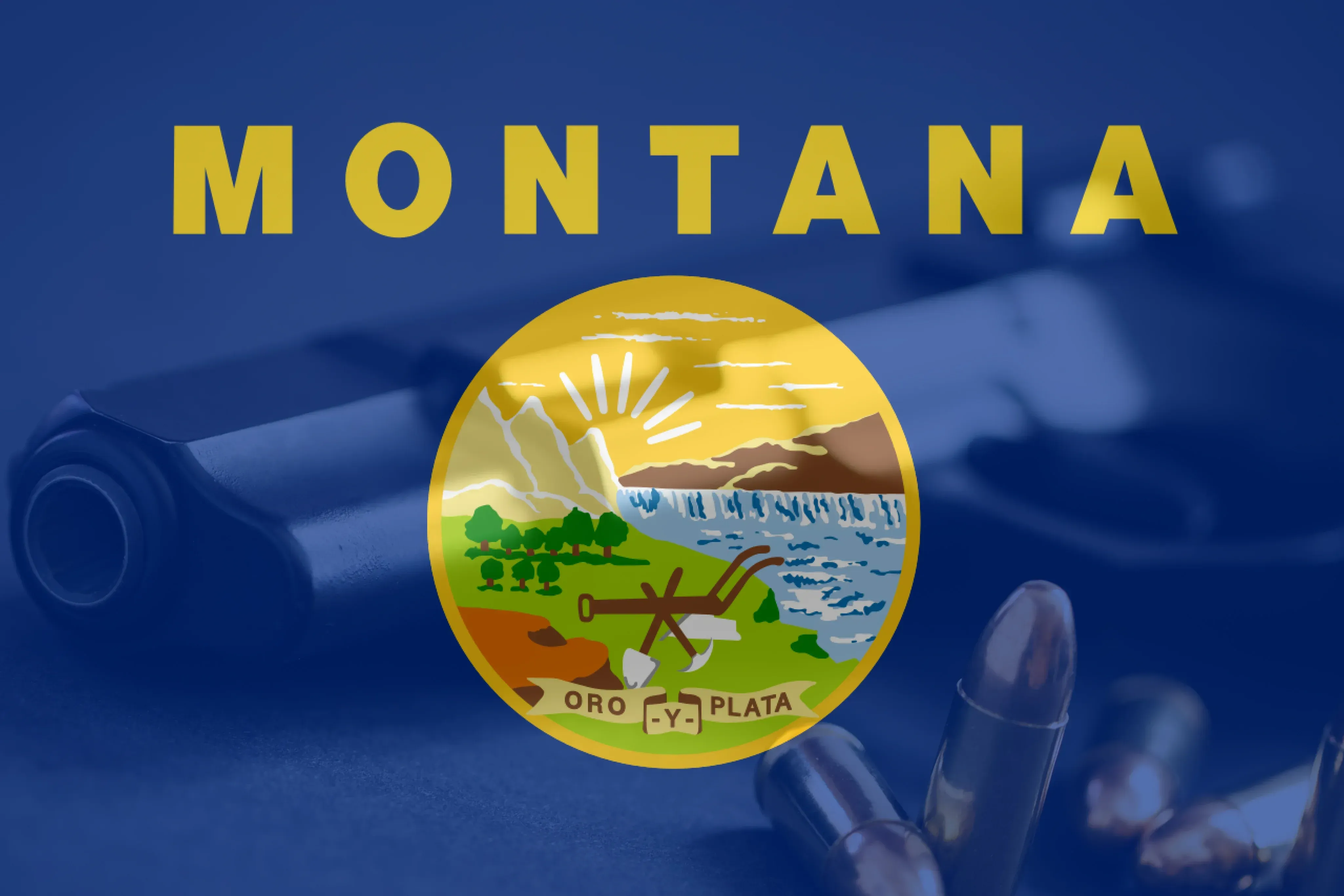 Montana flag on top of a revolver