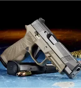 Handgun and extra mag with two bullets