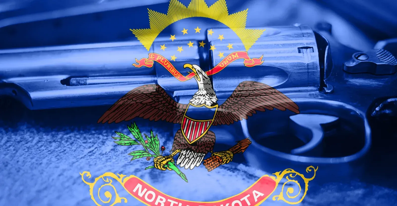 North Dakota gun laws
