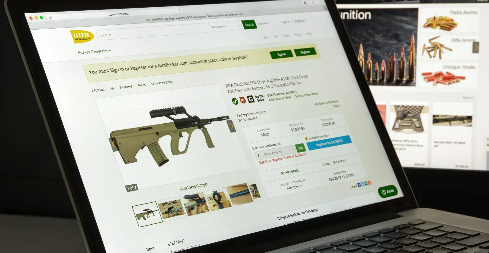 Online gun auction site