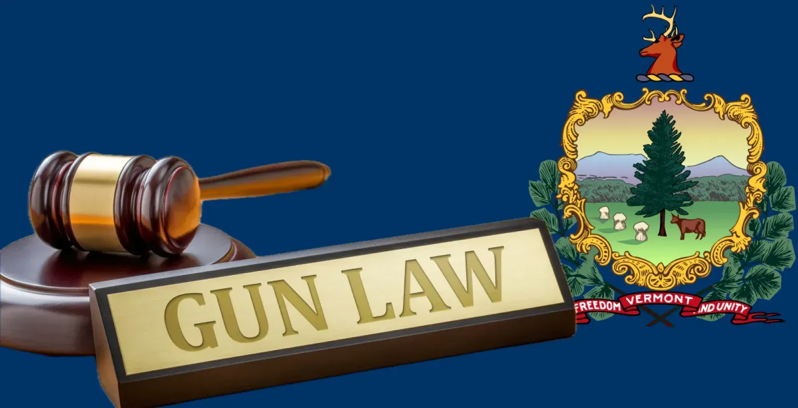 Gun law with gavel and Vermont State flag