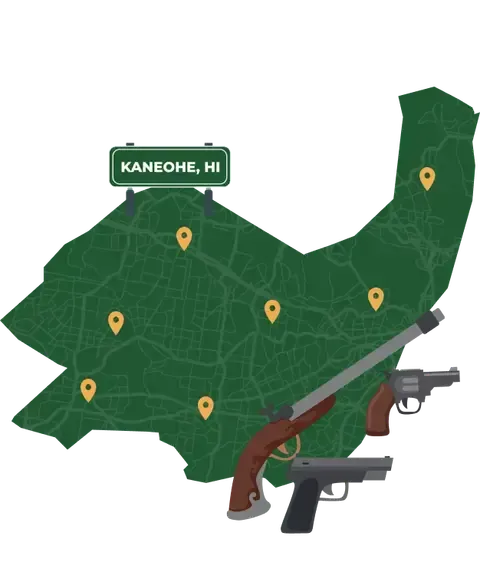 Picture of Kaneohe, Hawaii City Map with Kaneohe sign on it and places that we buy guns from.