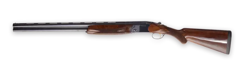 Picture of Weatherby Orion