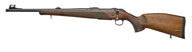 Picture of a Sako 85
