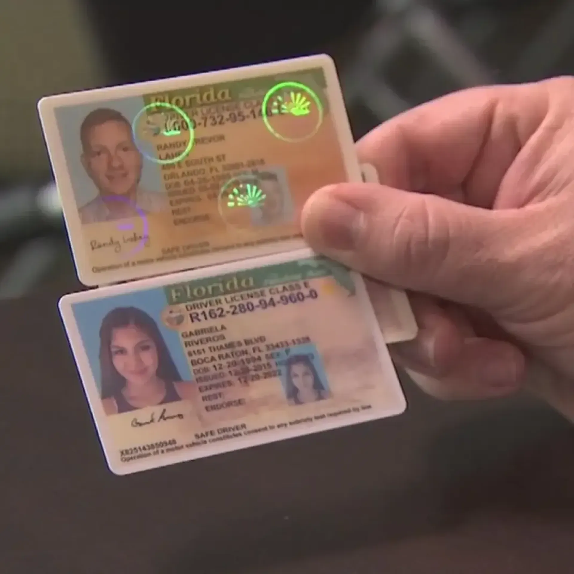 Florida driver licenses