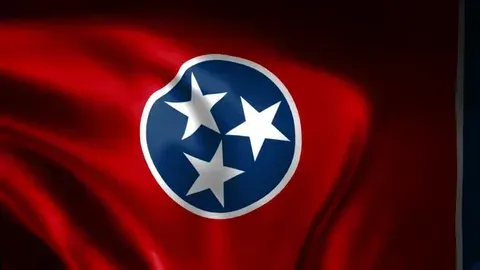 Tennessee state flag